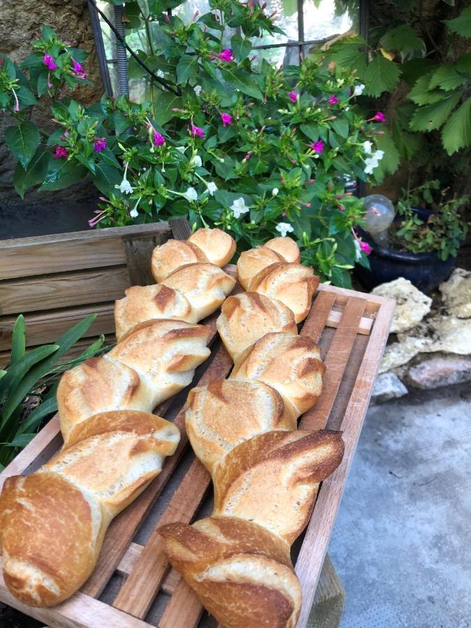 Bed & Breakfast Maison Lou Roucas *